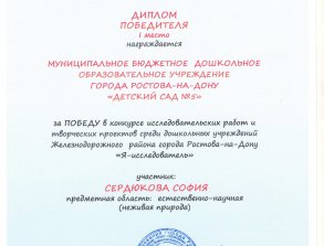 img (2)